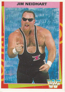 WWF Merlin Trading Card 1995 Jim Neidhart No.9