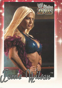 WWE Fleer Divine Divas Trading Card 2003 Torrie Wilson No.9